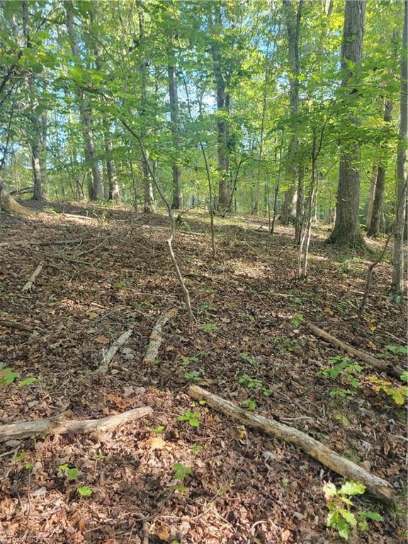 Unimproved Land at 1849 Mission Extension Road, Danbury NC 27016, photo 5 of 22