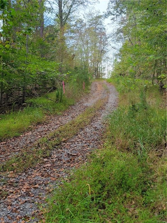 Unimproved Land at 1849 Mission Extension Road, Danbury NC 27016, photo 9 of 22