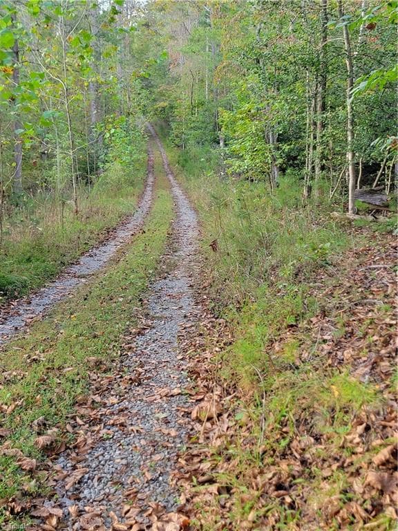 Unimproved Land at 1849 Mission Extension Road, Danbury NC 27016, photo 10 of 22