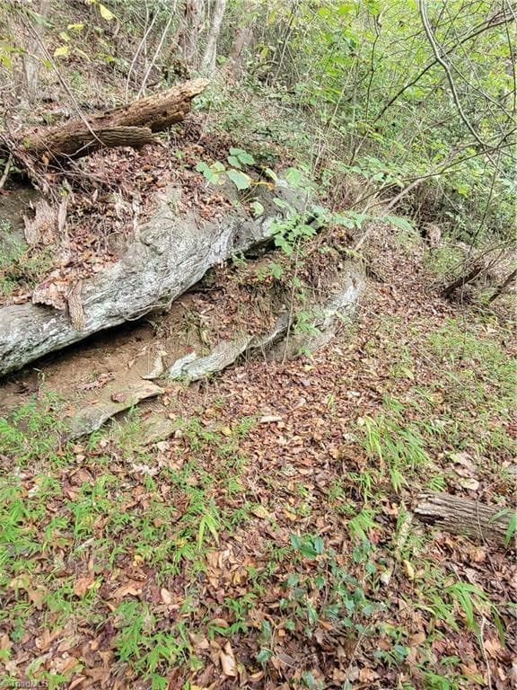 Unimproved Land at 1849 Mission Extension Road, Danbury NC 27016, photo 14 of 22