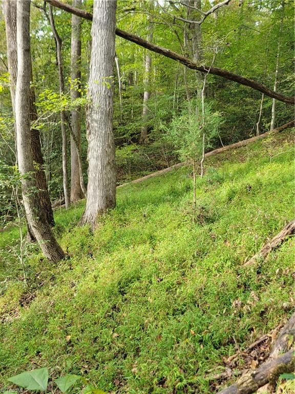 Unimproved Land at 1849 Mission Extension Road, Danbury NC 27016, photo 15 of 22
