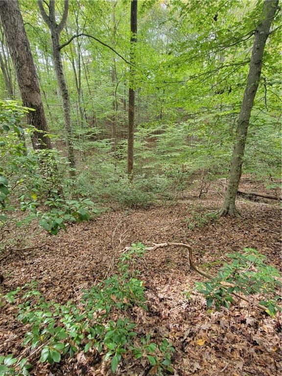 Unimproved Land at 1849 Mission Extension Road, Danbury NC 27016, photo 11 of 22