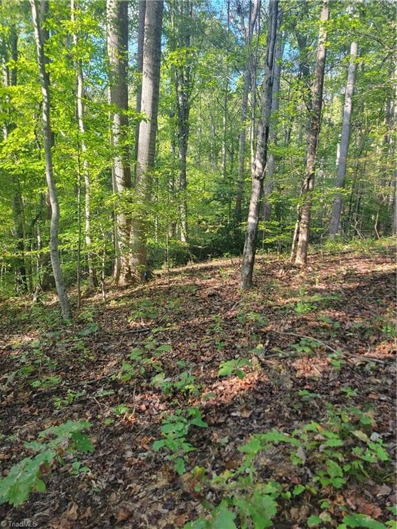 Unimproved Land at 1849 Mission Extension Road, Danbury NC 27016, photo 4 of 22