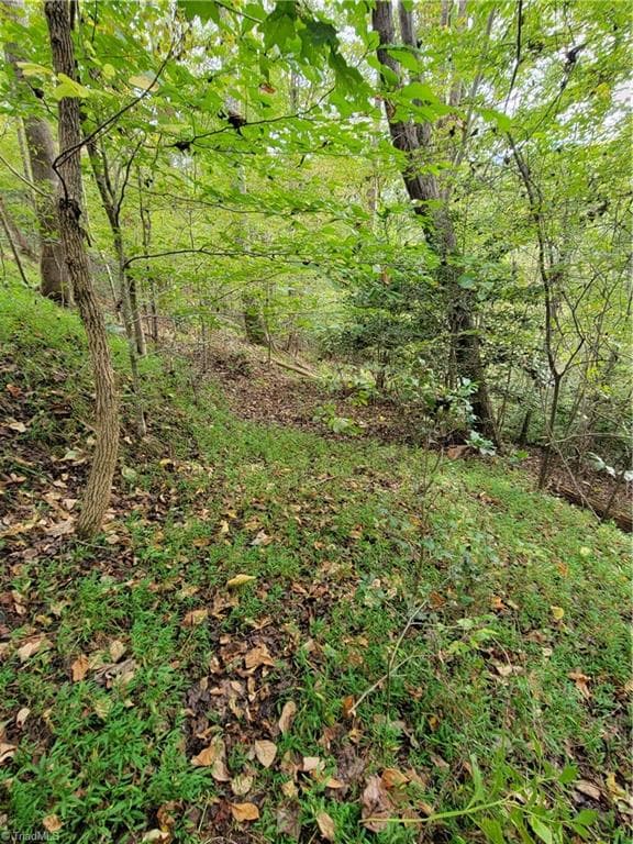 Unimproved Land at 1849 Mission Extension Road, Danbury NC 27016, photo 8 of 22