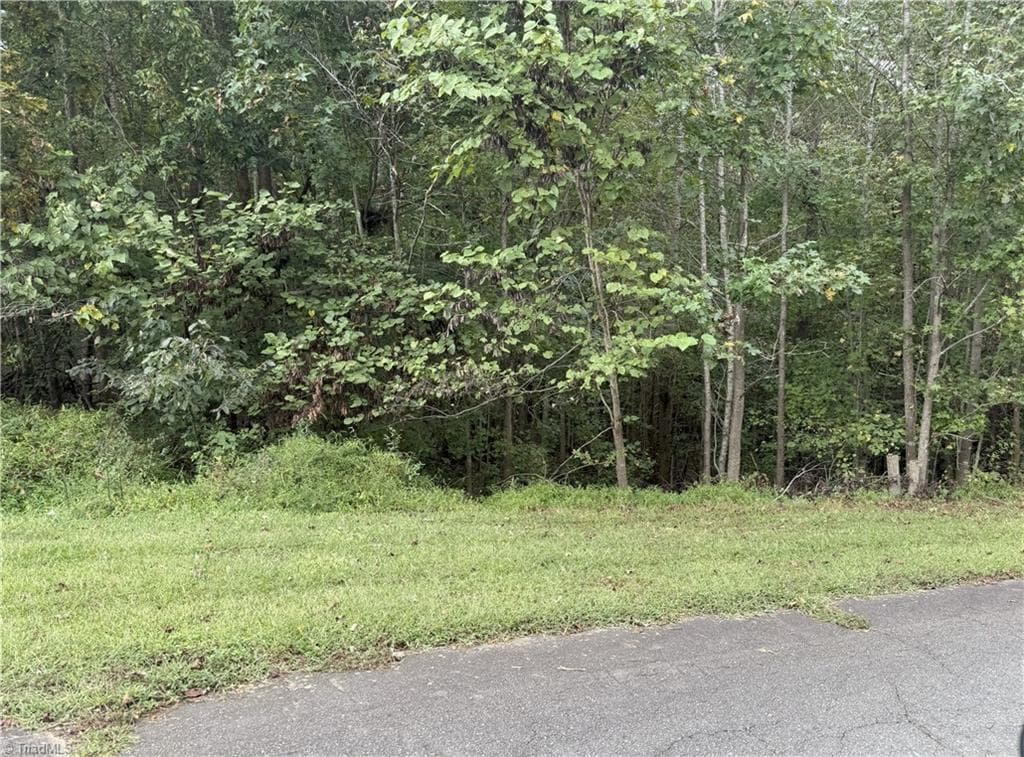 7347 Sun Harbor Drive, Browns Summit NC 27214
