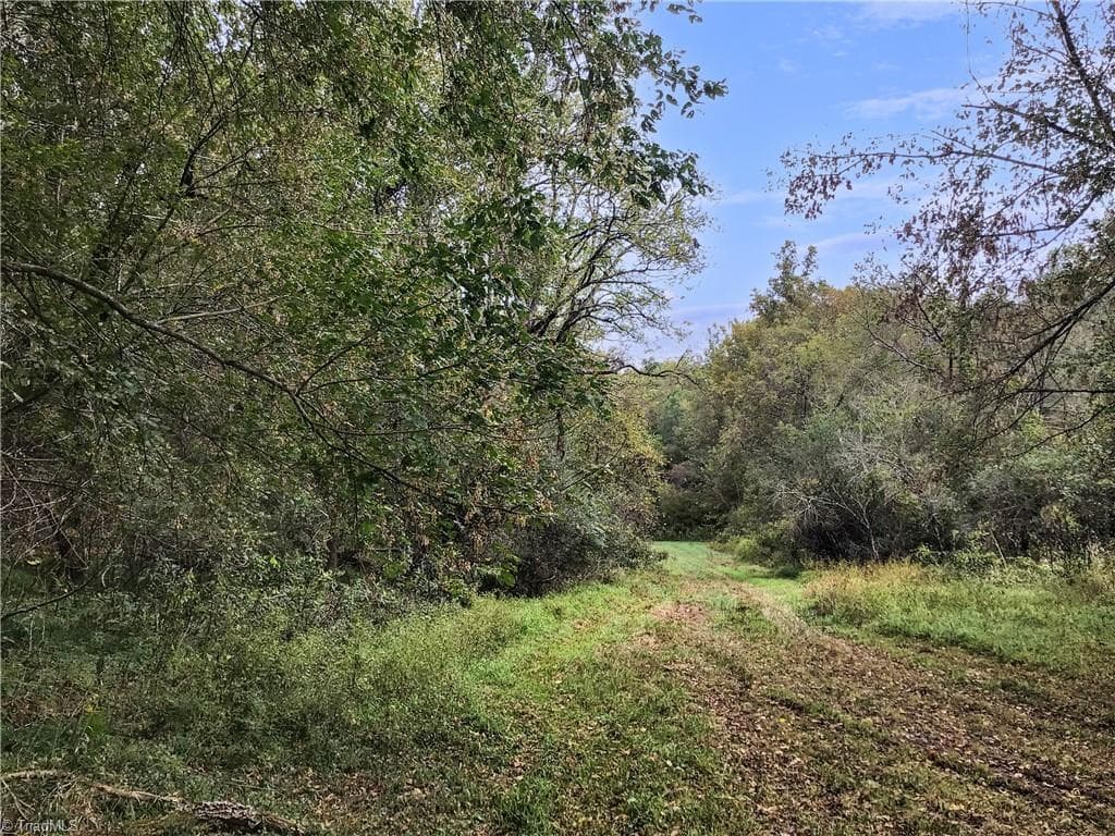 Unimproved Land at 0 E Main Street, Elkin NC 28621, photo 6 of 14