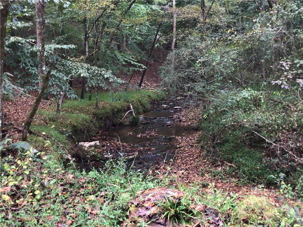 Unimproved Land at 0 E Main Street, Elkin NC 28621, photo 13 of 14