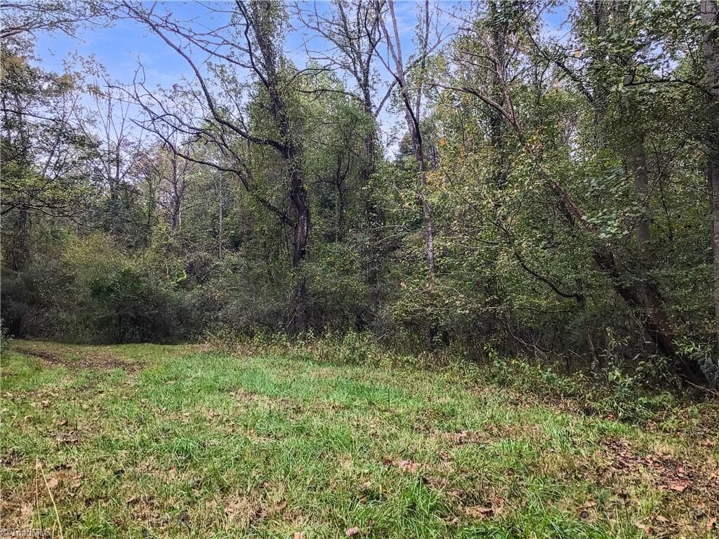 Unimproved Land at 0 E Main Street, Elkin NC 28621, photo 7 of 14
