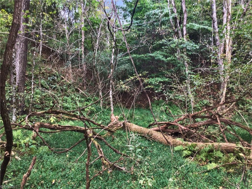 Unimproved Land at 0 E Main Street, Elkin NC 28621, photo 5 of 14