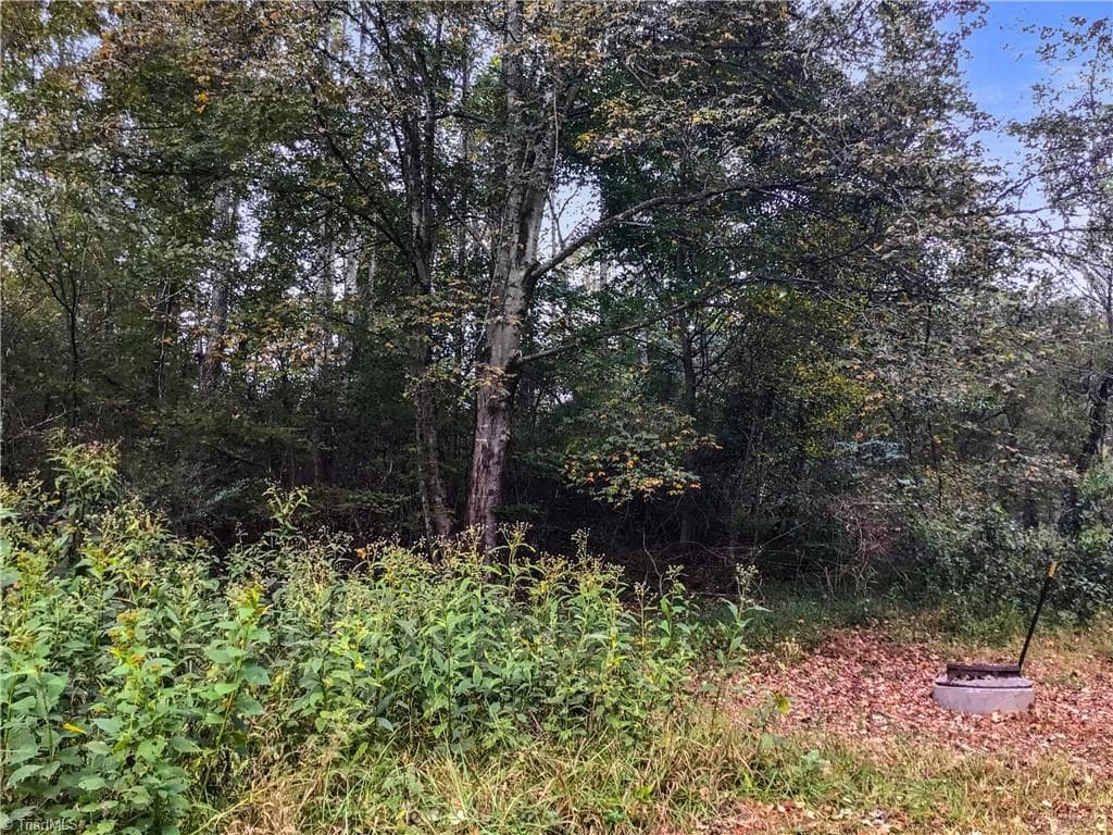 Unimproved Land at 0 E Main Street, Elkin NC 28621, photo 14 of 14