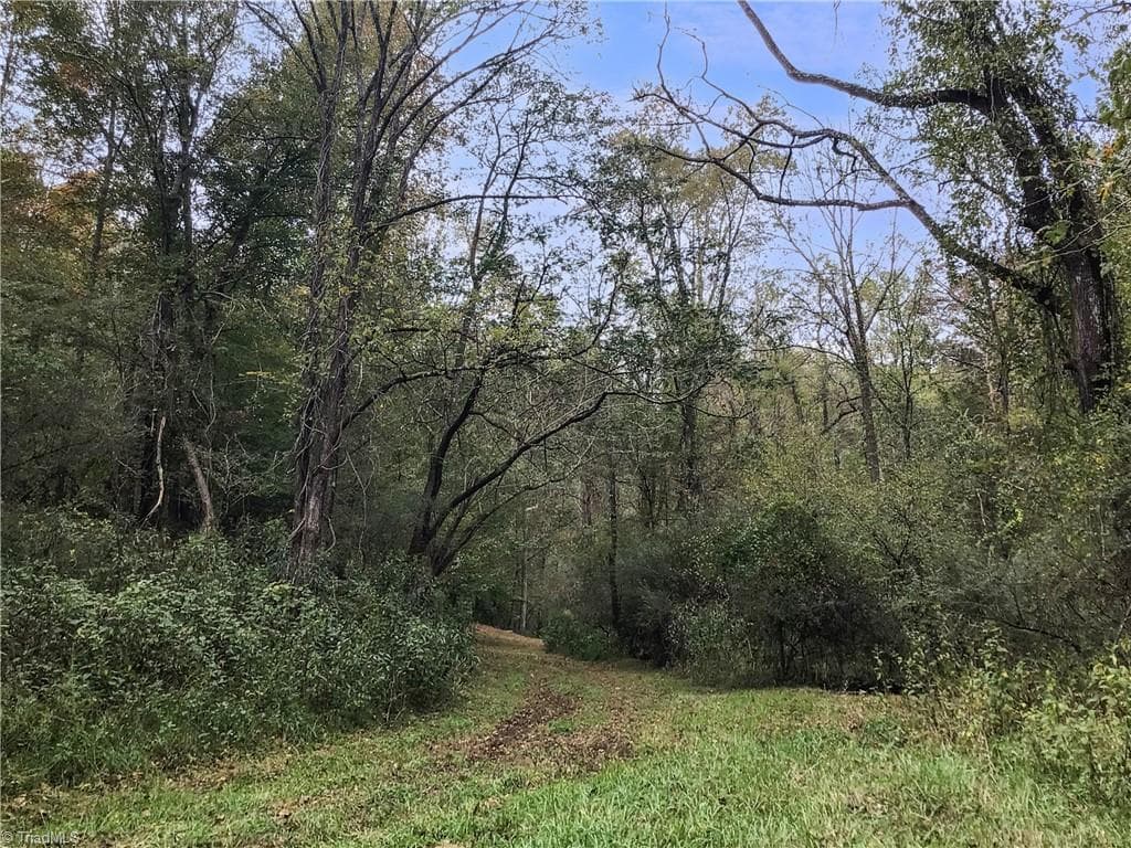 Unimproved Land at 0 E Main Street, Elkin NC 28621, photo 8 of 14