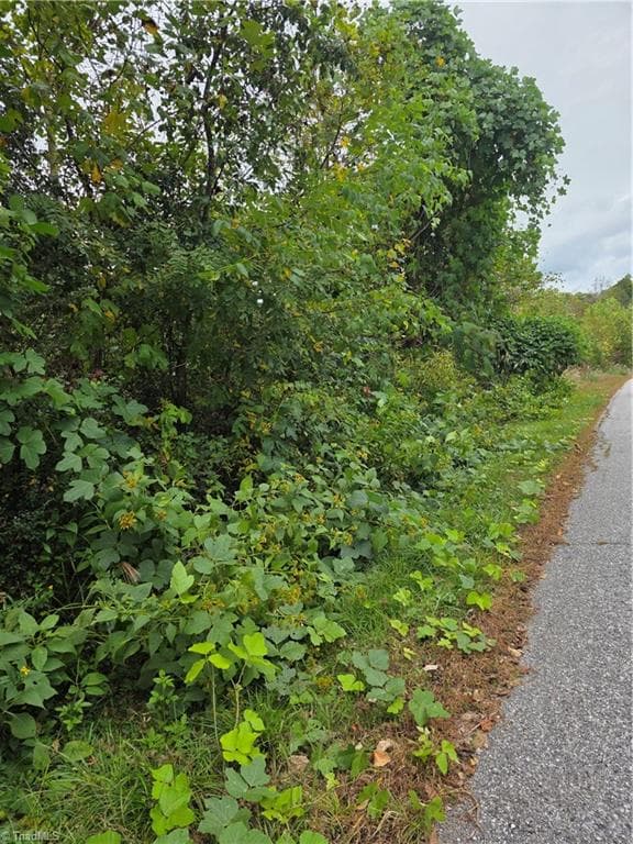 Single Family Residence at 000 Holly Brook Street, North Wilkesboro NC 28659, photo 2 of 7