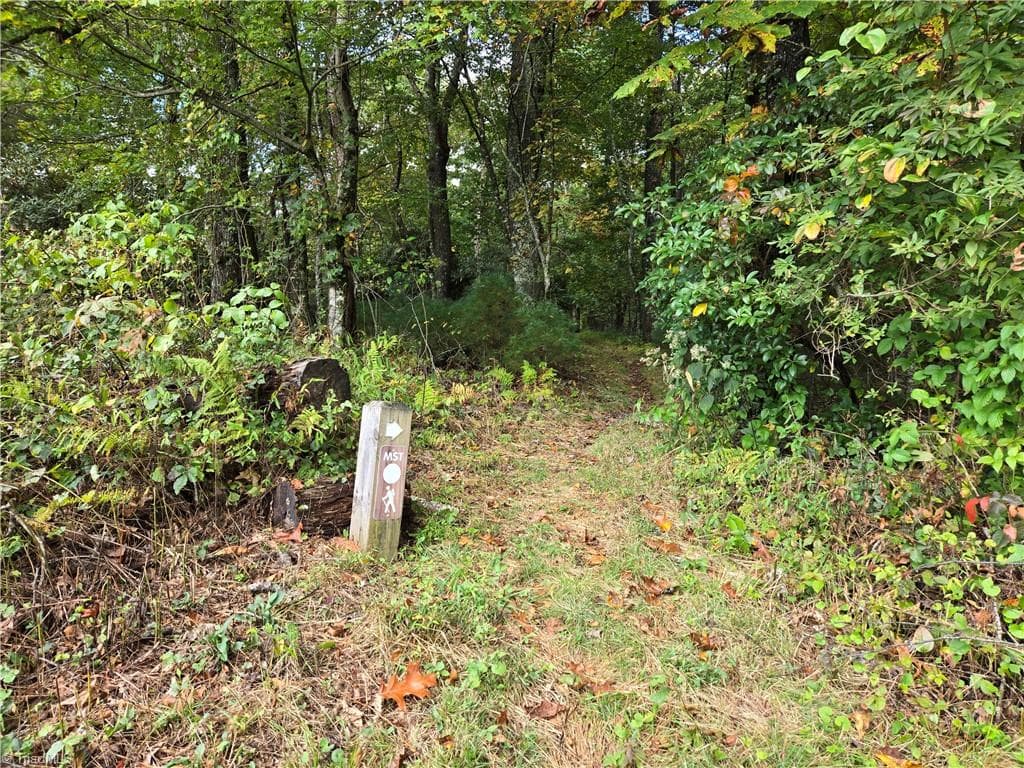 Unimproved Land at TBD Blue Ridge Church Road, Purlear NC 28665, photo 23 of 23