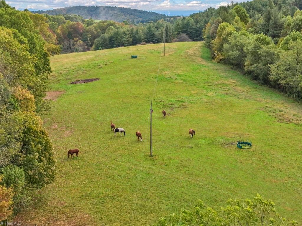 Unimproved Land at TBD Blue Ridge Church Road, Purlear NC 28665, photo 6 of 23