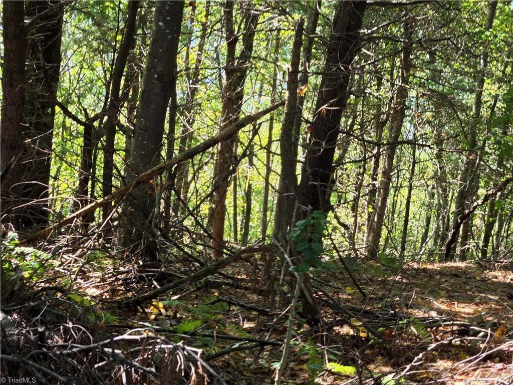 Unimproved Land at TBD Blue Ridge Church Road, Purlear NC 28665, photo 13 of 23