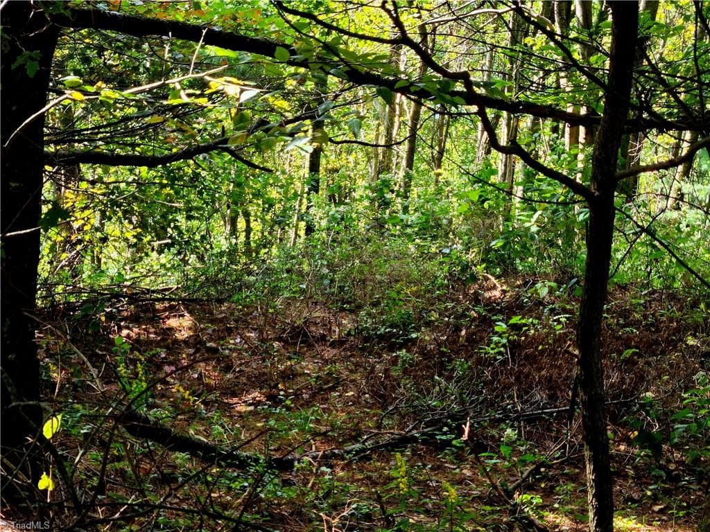 Unimproved Land at TBD Blue Ridge Church Road, Purlear NC 28665, photo 16 of 23