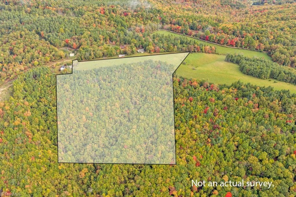 Unimproved Land at TBD Blue Ridge Church Road, Purlear NC 28665, photo 7 of 23