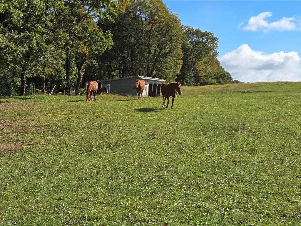 Unimproved Land at TBD Blue Ridge Church Road, Purlear NC 28665, photo 3 of 23