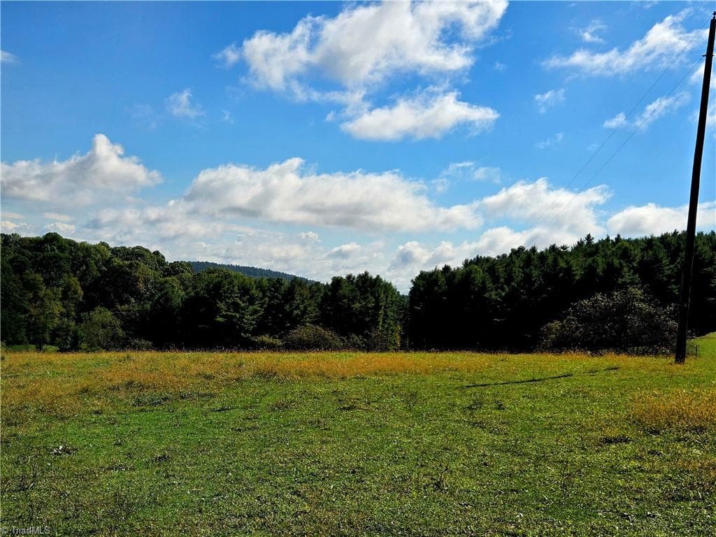 Unimproved Land at TBD Blue Ridge Church Road, Purlear NC 28665, photo 5 of 23