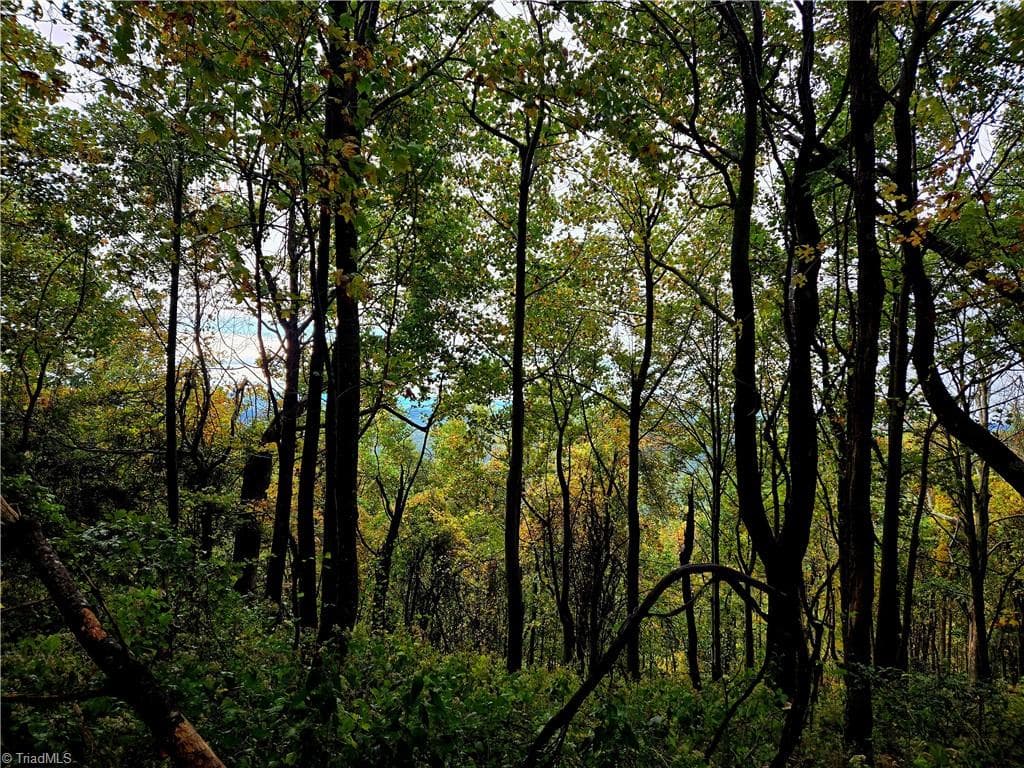 Unimproved Land at TBD Blue Ridge Church Road, Purlear NC 28665, photo 20 of 23