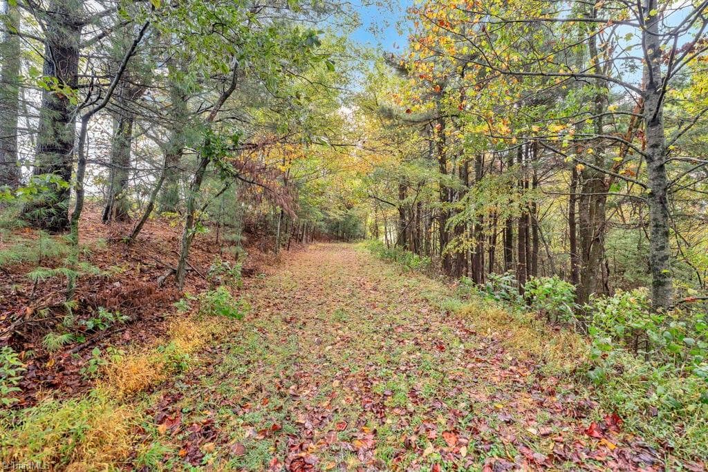 Unimproved Land at TBD Blue Ridge Church Road, Purlear NC 28665, photo 10 of 23
