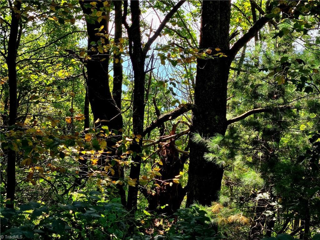 Unimproved Land at TBD Blue Ridge Church Road, Purlear NC 28665, photo 18 of 23