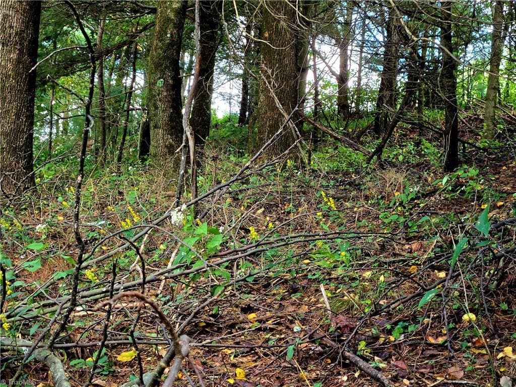 Unimproved Land at TBD Blue Ridge Church Road, Purlear NC 28665, photo 15 of 23