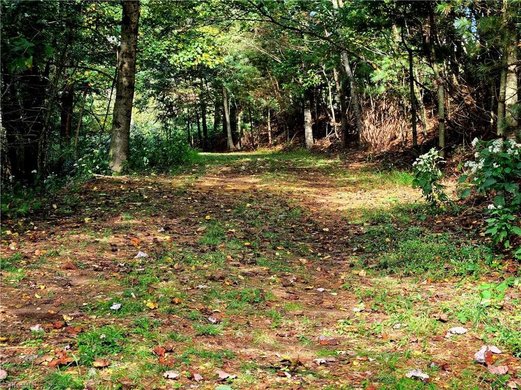 Unimproved Land at TBD Blue Ridge Church Road, Purlear NC 28665, photo 11 of 23