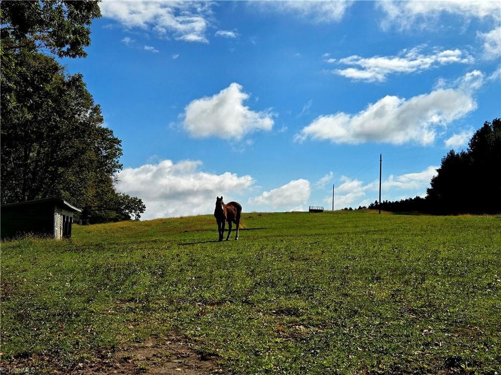 Unimproved Land at TBD Blue Ridge Church Road, Purlear NC 28665, photo 4 of 23