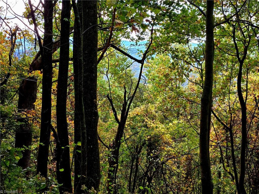 Unimproved Land at TBD Blue Ridge Church Road, Purlear NC 28665, photo 21 of 23