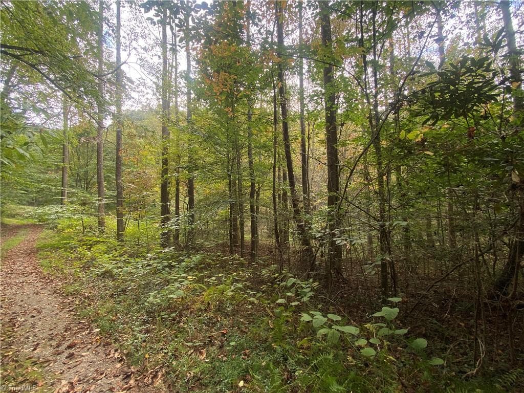 Unimproved Land at 00 Bear Hollow Lane, North Wilkesboro NC 28659, photo 2 of 6