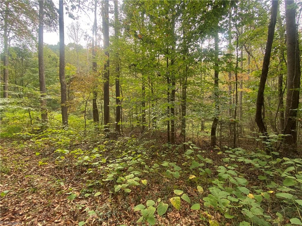Unimproved Land at 00 Bear Hollow Lane, North Wilkesboro NC 28659, photo 6 of 6