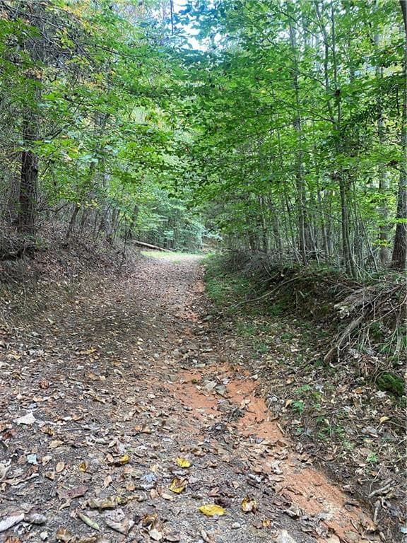 Unimproved Land at 00 Bear Hollow Lane, North Wilkesboro NC 28659, photo 3 of 6