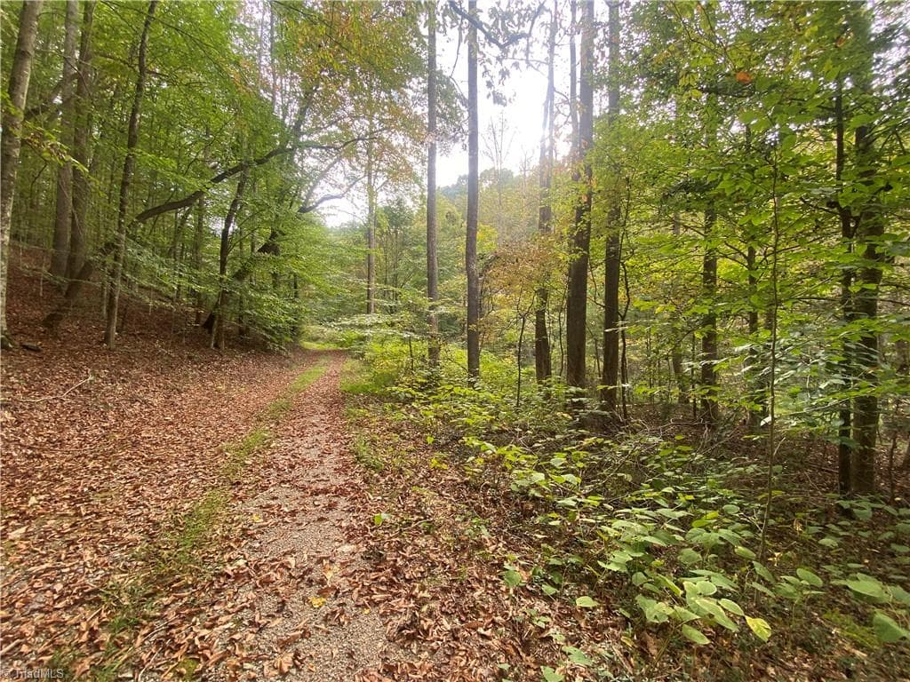 Unimproved Land at 00 Bear Hollow Lane, North Wilkesboro NC 28659, photo 5 of 6