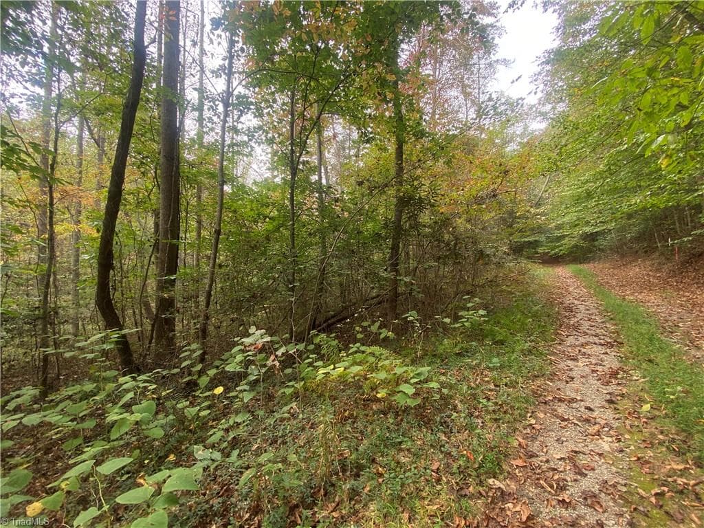 Unimproved Land at 00 Bear Hollow Lane, North Wilkesboro NC 28659, photo 4 of 6
