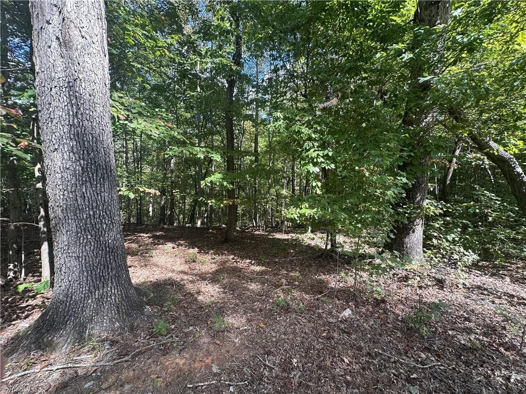 Agriculture at 8410 Linville Road, Oak Ridge NC 27319, photo 13 of 37