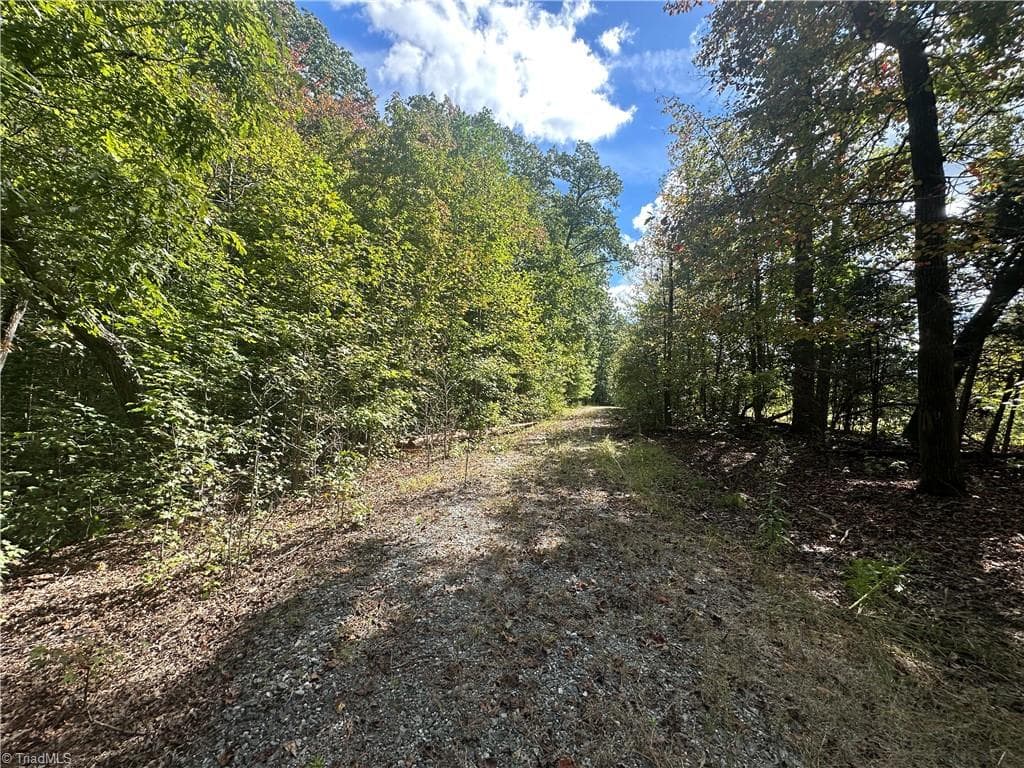 Agriculture at 8410 Linville Road, Oak Ridge NC 27319, photo 12 of 37