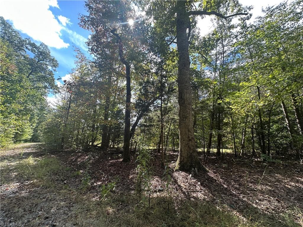 Agriculture at 8410 Linville Road, Oak Ridge NC 27319, photo 11 of 37