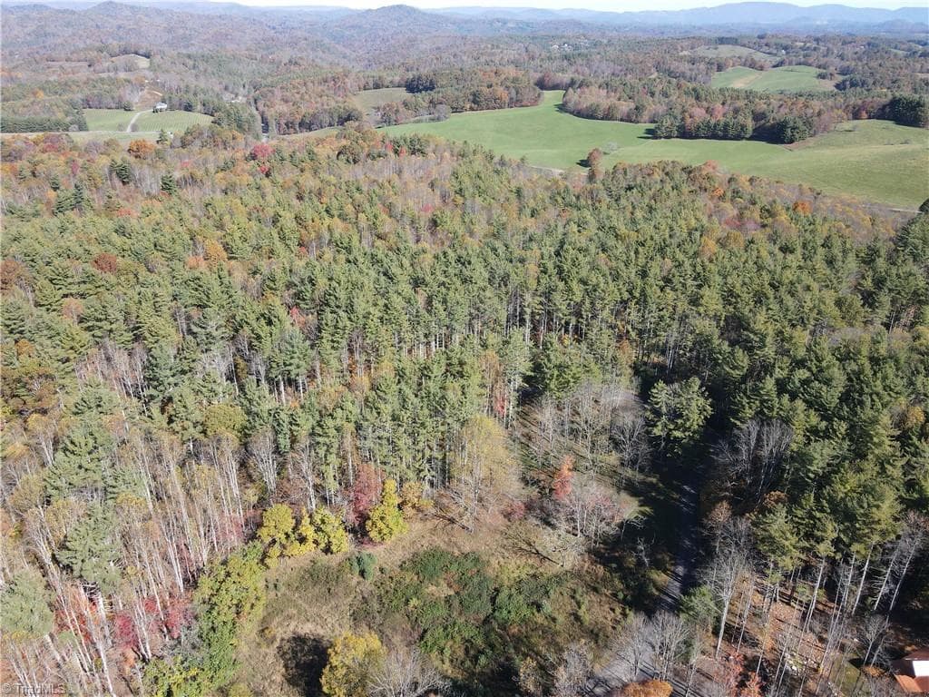 Unimproved Land at TBD Jake Blackburn Road, Lansing NC Lansing, photo 6 of 21