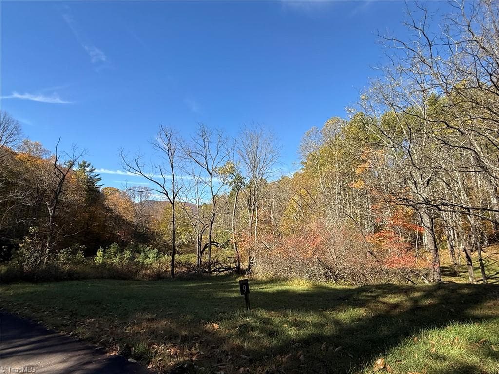 Unimproved Land at TBD Jake Blackburn Road, Lansing NC Lansing, photo 17 of 21