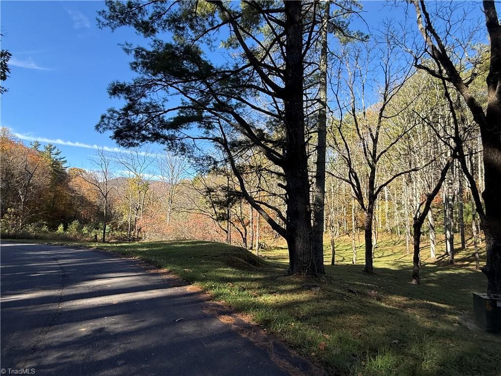 Unimproved Land at TBD Jake Blackburn Road, Lansing NC Lansing, photo 16 of 21