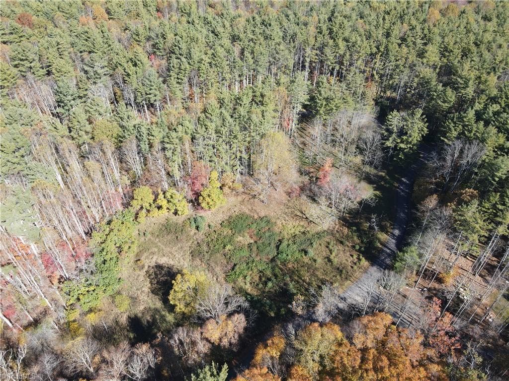 Unimproved Land at TBD Jake Blackburn Road, Lansing NC Lansing, photo 12 of 21