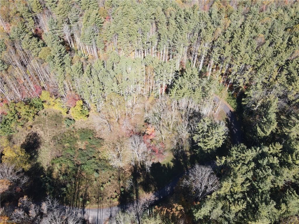 Unimproved Land at TBD Jake Blackburn Road, Lansing NC Lansing, photo 7 of 21