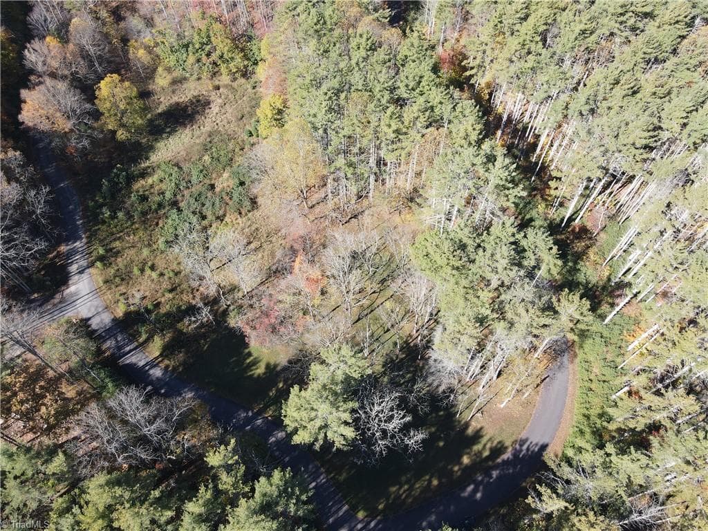 Unimproved Land at TBD Jake Blackburn Road, Lansing NC Lansing, photo 3 of 21
