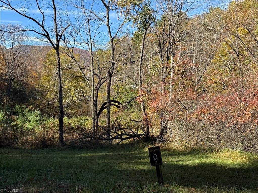 Unimproved Land at TBD Jake Blackburn Road, Lansing NC Lansing, photo 20 of 21