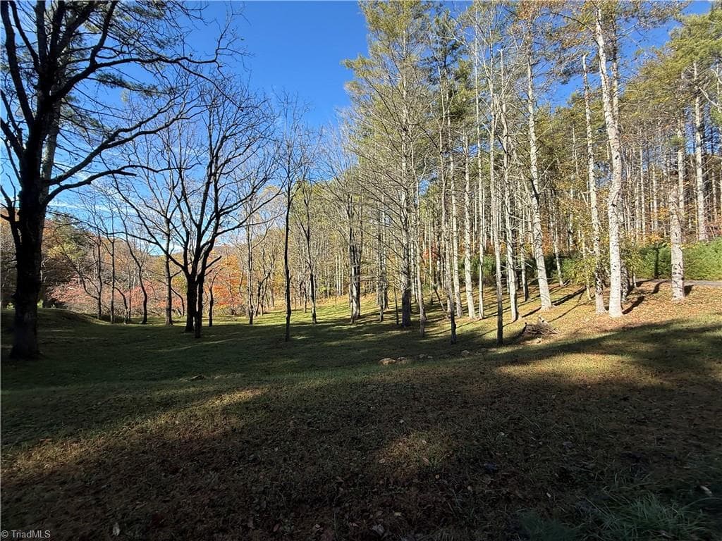 Unimproved Land at TBD Jake Blackburn Road, Lansing NC Lansing, photo 9 of 21