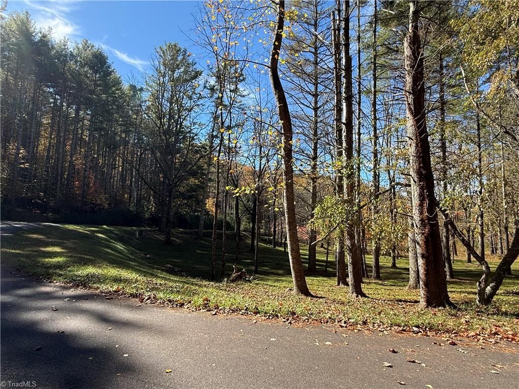 Unimproved Land at TBD Jake Blackburn Road, Lansing NC Lansing, photo 14 of 21