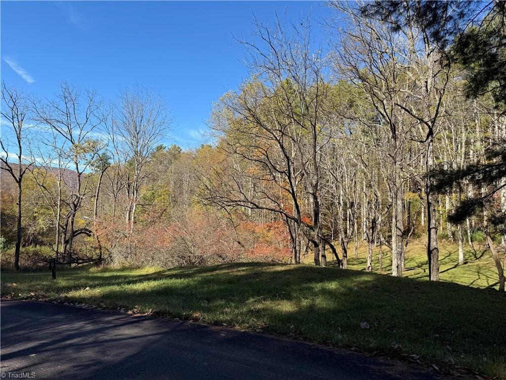 Unimproved Land at TBD Jake Blackburn Road, Lansing NC Lansing, photo 18 of 21