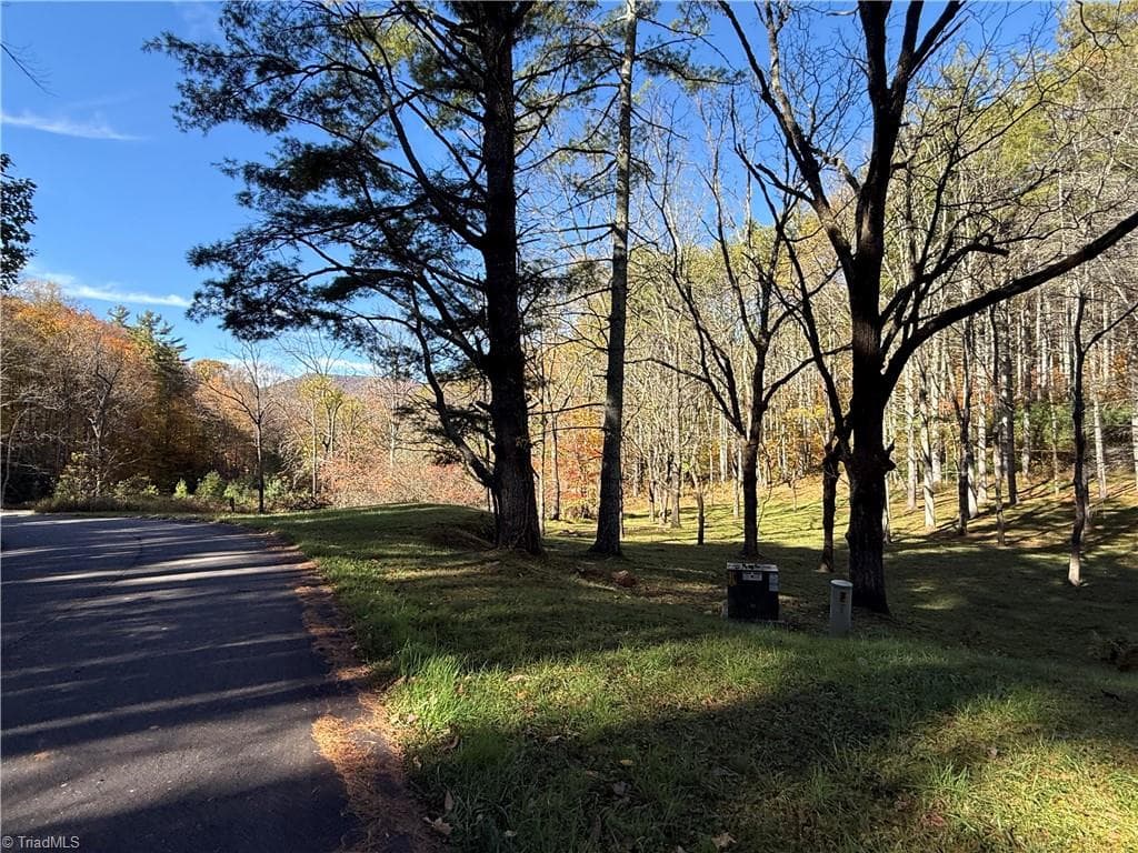 Unimproved Land at TBD Jake Blackburn Road, Lansing NC Lansing, photo 15 of 21