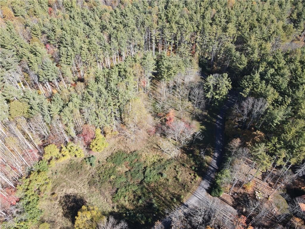 Unimproved Land at TBD Jake Blackburn Road, Lansing NC Lansing, photo 11 of 21